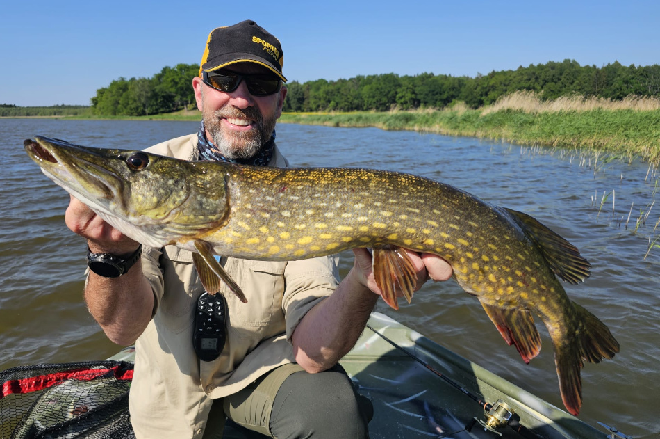 Pêche des carnassiers à Sibbo, un des très nombreux poissons mesurant dans les 80cm, la vie dans ces eaux doit être un danger permanent pour les plus petits!